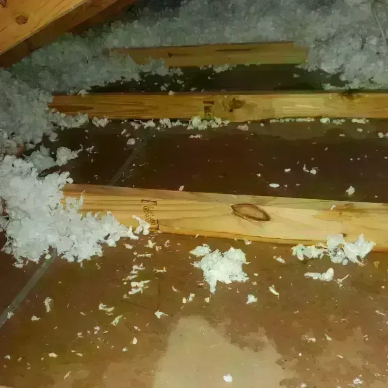 Attic Water Damage in Canton, MS