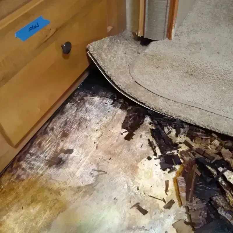 Wood Floor Water Damage in Canton, MS